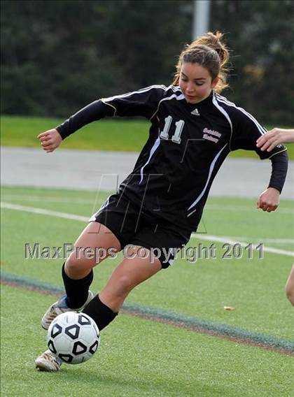 Thumbnail 3 in Warrior Run vs Sewickley Academy (PIAA Class A Final) photogallery.