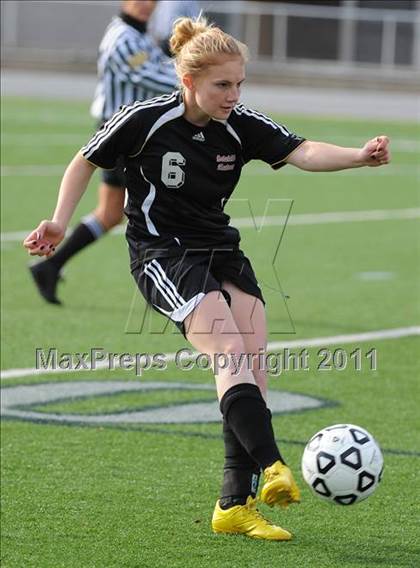 Thumbnail 1 in Warrior Run vs Sewickley Academy (PIAA Class A Final) photogallery.