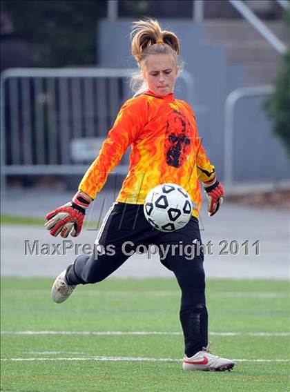 Thumbnail 3 in Warrior Run vs Sewickley Academy (PIAA Class A Final) photogallery.