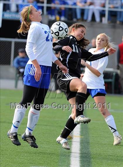 Thumbnail 1 in Warrior Run vs Sewickley Academy (PIAA Class A Final) photogallery.