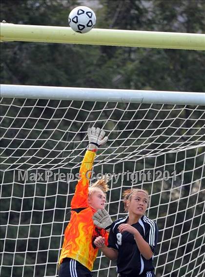Thumbnail 2 in Warrior Run vs Sewickley Academy (PIAA Class A Final) photogallery.