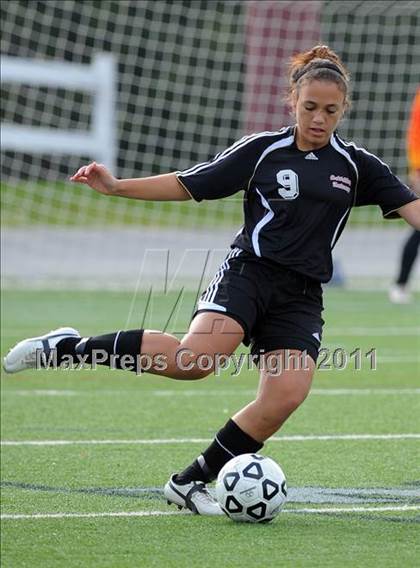 Thumbnail 1 in Warrior Run vs Sewickley Academy (PIAA Class A Final) photogallery.