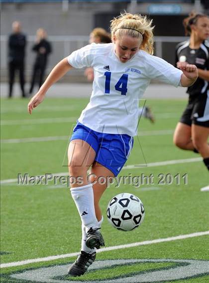 Thumbnail 1 in Warrior Run vs Sewickley Academy (PIAA Class A Final) photogallery.