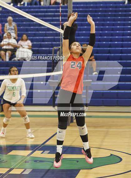 Thumbnail 3 in JV: Bloomingdale @ Sumner photogallery.