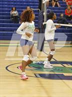 Photo from the gallery "Bloomingdale @ Sumner"