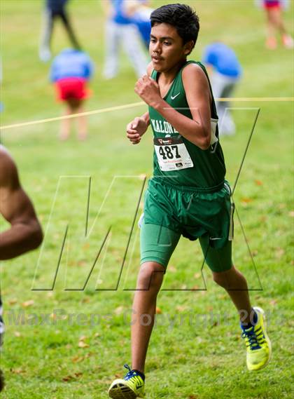 Thumbnail 1 in CCC Cross Country Championships photogallery.