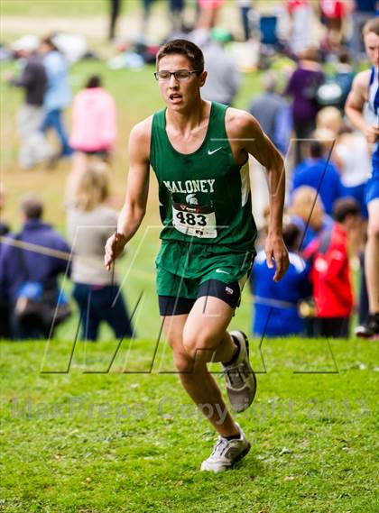 Thumbnail 1 in CCC Cross Country Championships photogallery.