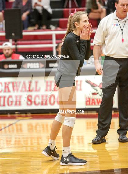 Thumbnail 3 in Horn @ Rockwall-Heath photogallery.