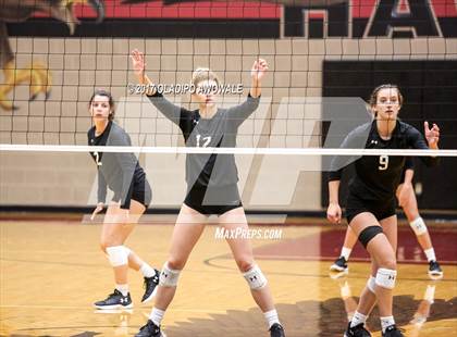 Thumbnail 2 in Horn @ Rockwall-Heath photogallery.