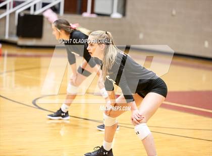 Thumbnail 1 in Horn @ Rockwall-Heath photogallery.