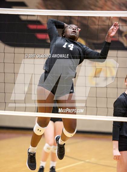 Thumbnail 1 in Horn @ Rockwall-Heath photogallery.