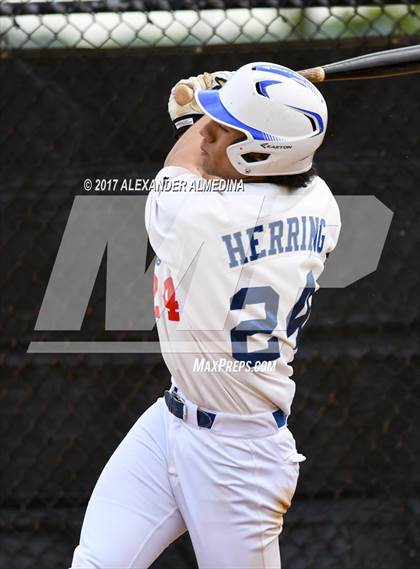 Thumbnail 1 in Archbishop Molloy @ Xaverian photogallery.