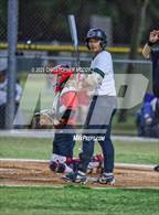 Photo from the gallery "Palmetto @ Lakewood Ranch"
