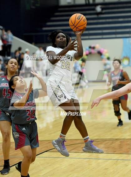 Thumbnail 3 in Springdale @ Bentonville West photogallery.