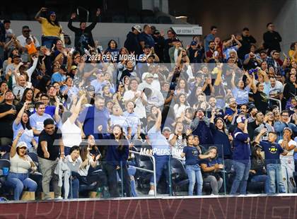 Thumbnail 1 in Warren vs Downey photogallery.