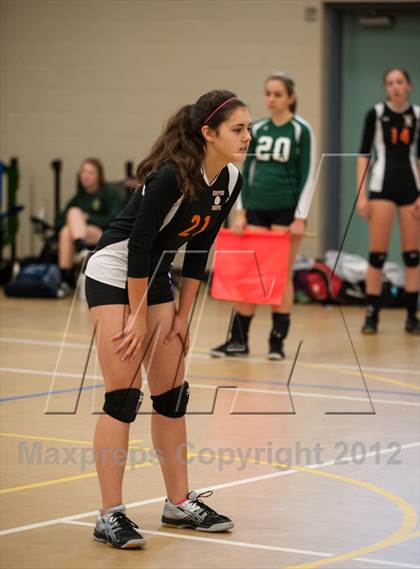 Thumbnail 1 in Newton North vs Westborough (Showcase of Champions Holyoke) photogallery.