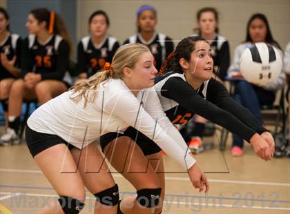 Thumbnail 2 in Newton North vs Westborough (Showcase of Champions Holyoke) photogallery.