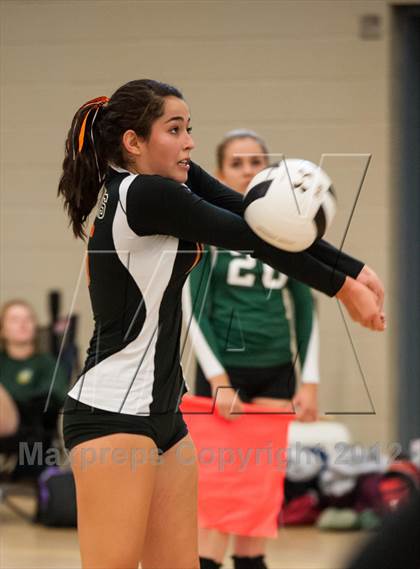Thumbnail 1 in Newton North vs Westborough (Showcase of Champions Holyoke) photogallery.