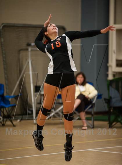 Thumbnail 1 in Newton North vs Westborough (Showcase of Champions Holyoke) photogallery.