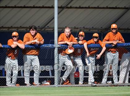 Thumbnail 1 in White [W. T.] @ Sachse (5A Region 2 bidistrict) photogallery.