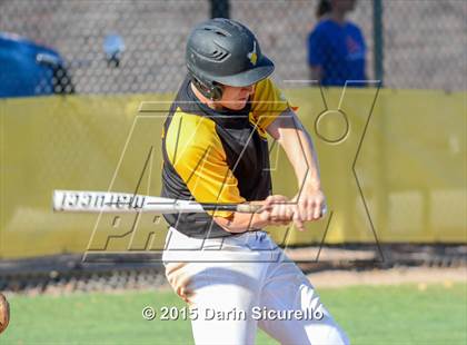 Thumbnail 3 in Arcadia @ Marcos de Niza  photogallery.