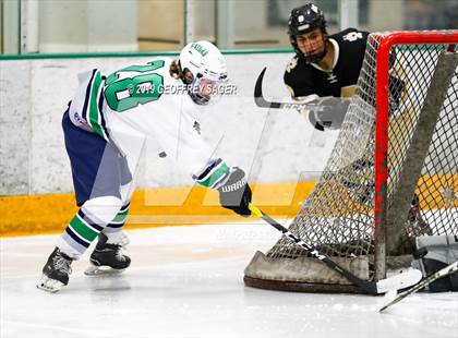 Thumbnail 1 in Monarch @ Standley Lake photogallery.