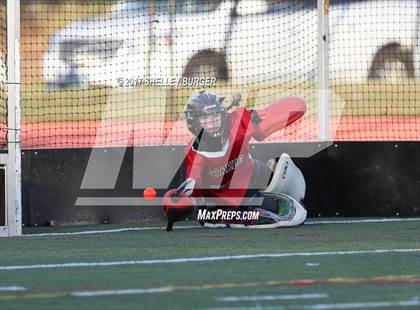 Thumbnail 2 in Warde @ Ludlowe photogallery.