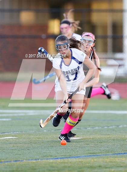 Thumbnail 2 in Warde @ Ludlowe photogallery.