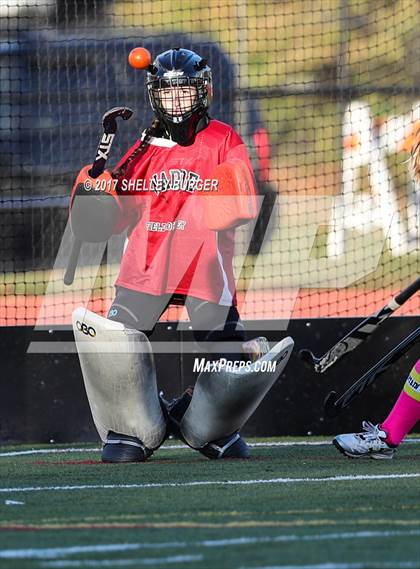 Thumbnail 3 in Warde @ Ludlowe photogallery.