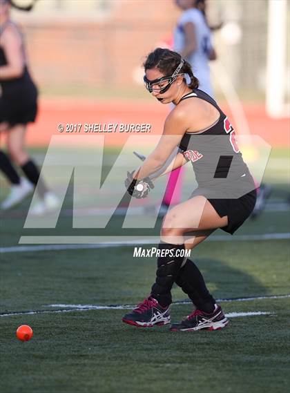 Thumbnail 2 in Warde @ Ludlowe photogallery.