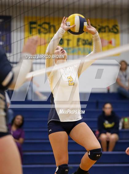 Thumbnail 3 in West Orange-Stark @ West Hardin photogallery.