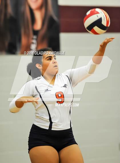 Thumbnail 2 in Sachse @ Wylie photogallery.