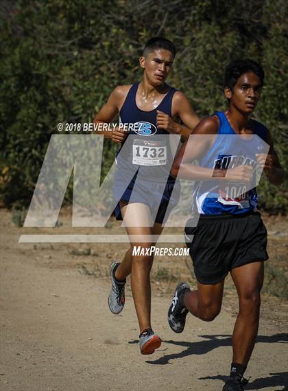 Thumbnail 1 in Masters University Cross Country Invitational  photogallery.