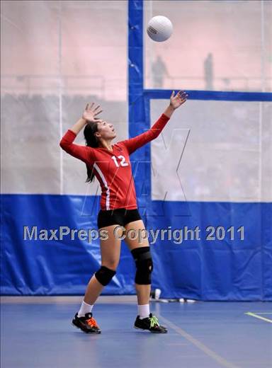 null - Photo 01