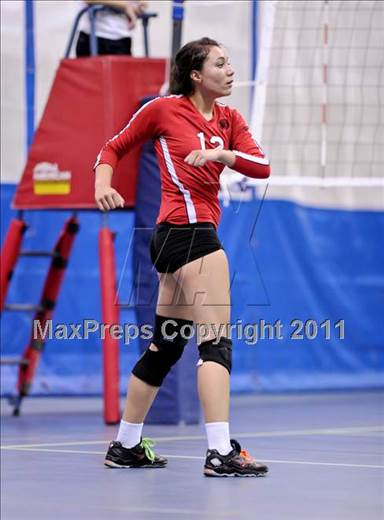 null - Photo 31