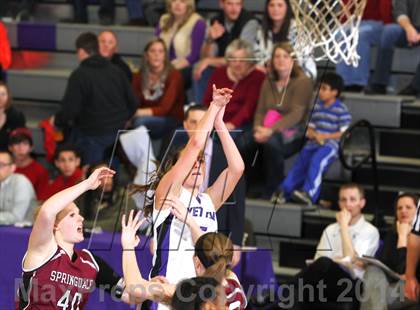 Thumbnail 1 in Springdale @ Fayetteville photogallery.
