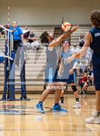 Photo from the gallery "L.C. Bird @ Manchester"