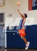 Photo from the gallery "L.C. Bird @ Manchester"