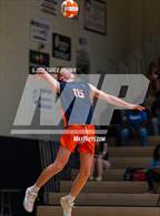 Photo from the gallery "L.C. Bird @ Manchester"