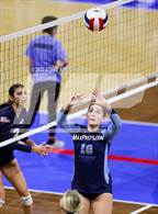 Photo from the gallery "Pine Creek vs. Ralston Valley (CHSAA 5A First Round)"