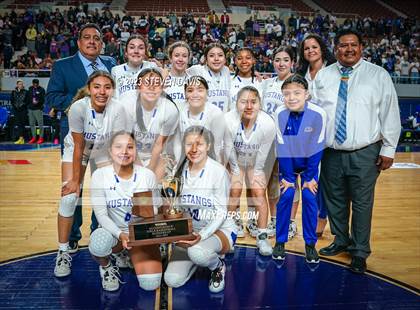 Thumbnail 2 in Valley Vista @ Dobson (AIA 6A Final Awards) photogallery.