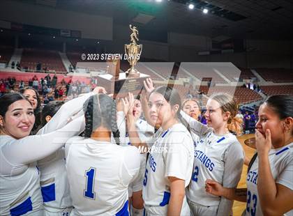 Thumbnail 1 in Valley Vista @ Dobson (AIA 6A Final Awards) photogallery.