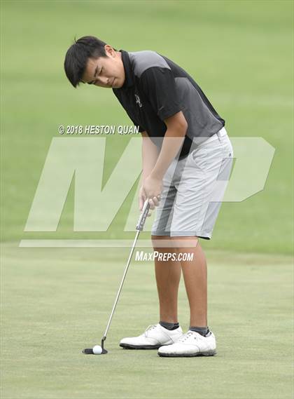 Thumbnail 1 in CIF State Boys Golf Final photogallery.