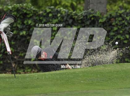 Thumbnail 1 in CIF State Boys Golf Final photogallery.