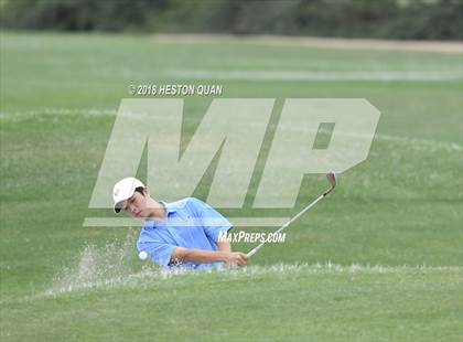 Thumbnail 1 in CIF State Boys Golf Final photogallery.