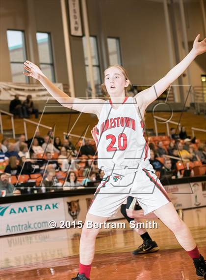 Thumbnail 1 in Jamestown vs. Rush-Henrietta (NYSPHSAA Class AA Regional Playoff) photogallery.