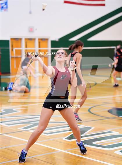 Thumbnail 2 in 2018 AIA Girls Badminton State Championships   photogallery.