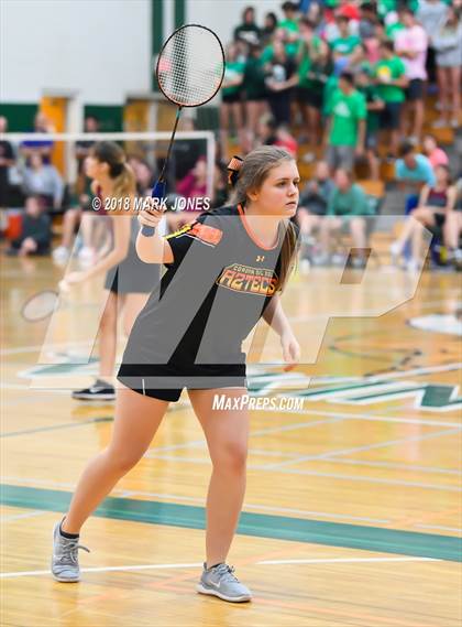 Thumbnail 2 in 2018 AIA Girls Badminton State Championships   photogallery.