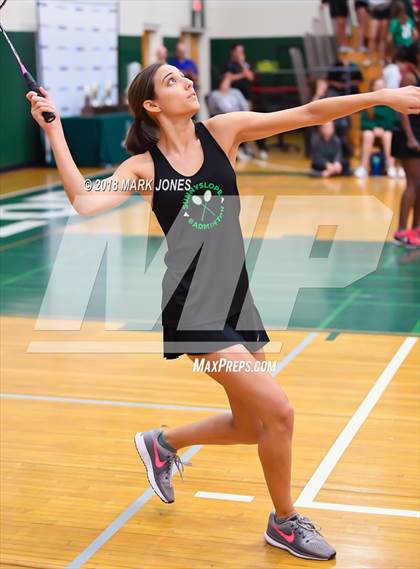 Thumbnail 3 in 2018 AIA Girls Badminton State Championships   photogallery.