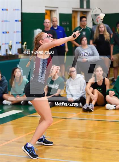 Thumbnail 1 in 2018 AIA Girls Badminton State Championships   photogallery.